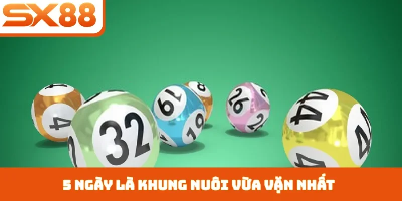 5 ngày là khung nuôi vừa vặn nhất