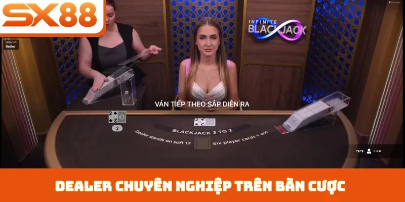 Dealer chuyên nghiệp trên bàn cược